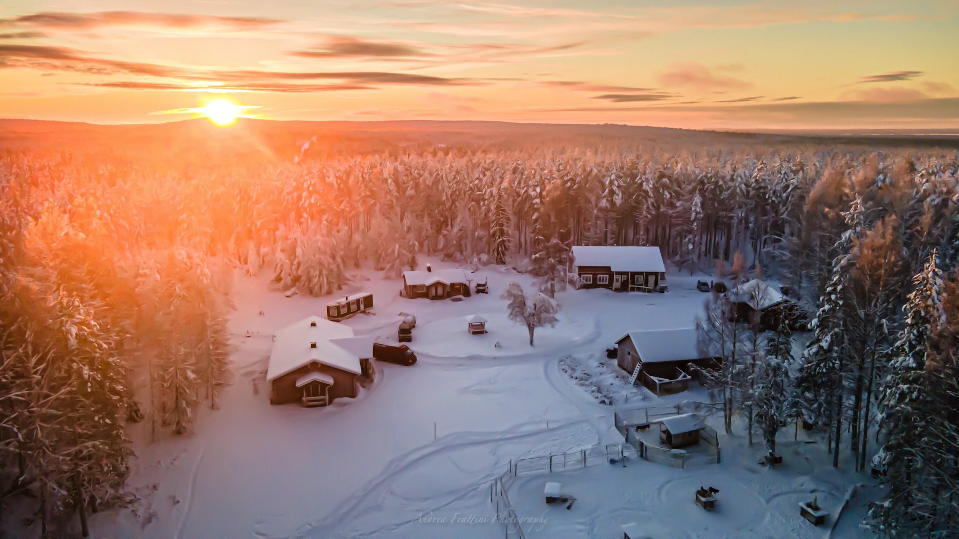 Old Pine Husky Lodge